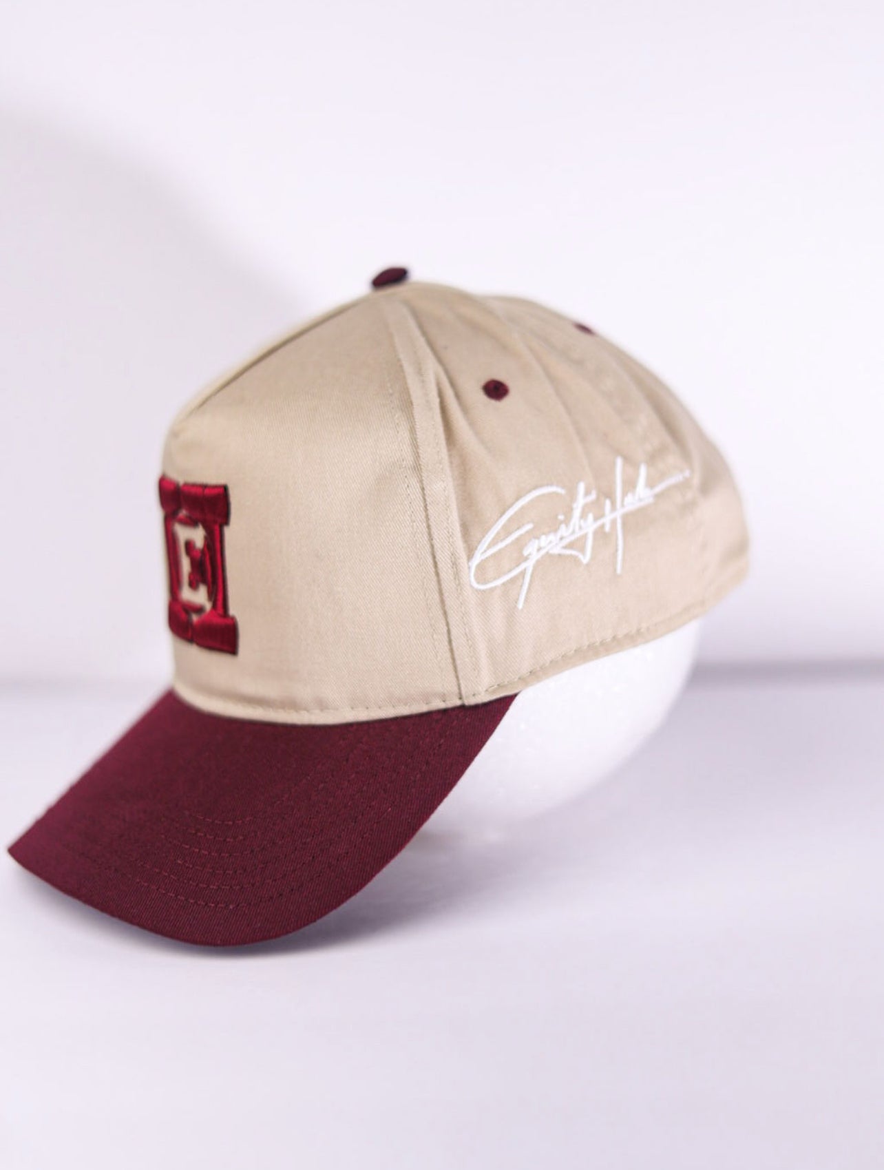 Equity Hub COTH Snapback-Maroon/Tan